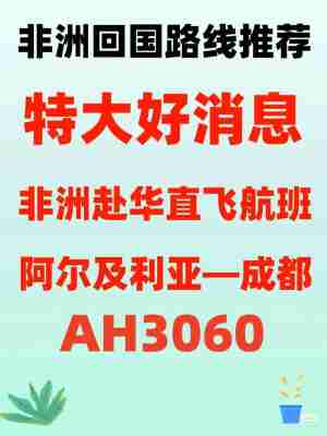 阿尔及利亚撤侨行动，阿尔及利亚复航消息